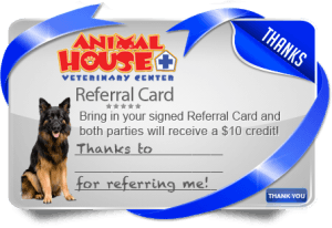 referall-card-300x206