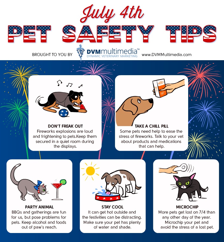 DVM-JULY4TH-750×808