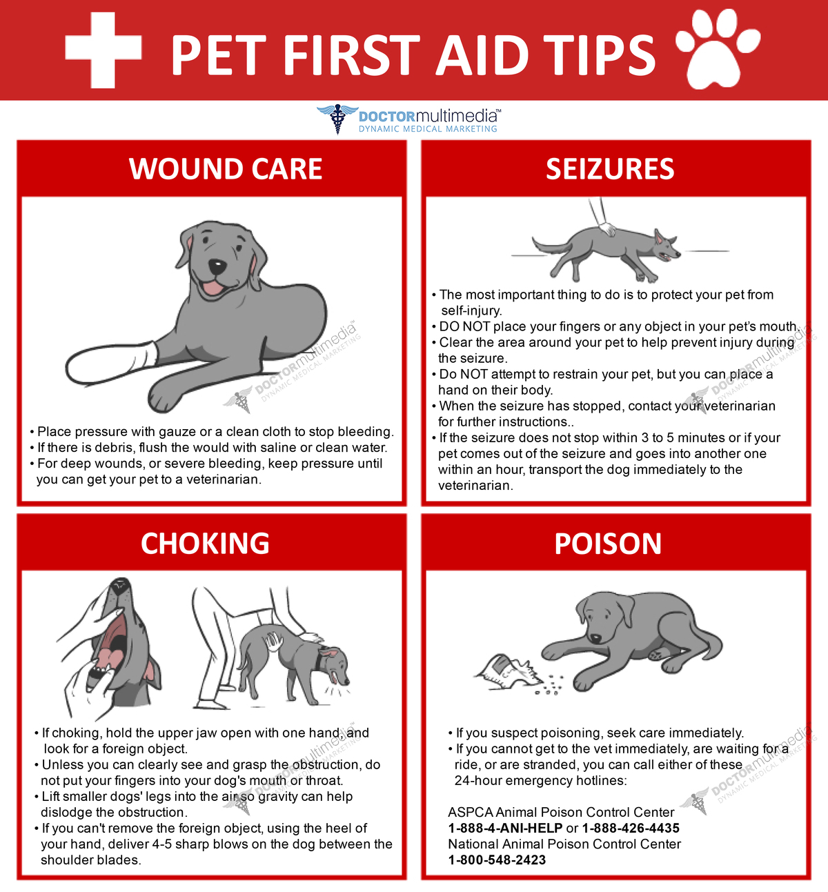 PetFirstAid_preview