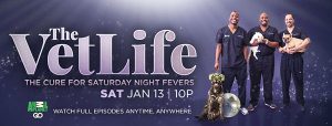 the-vetlife