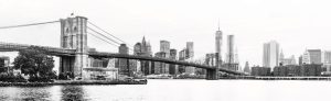NY