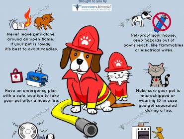 Fire Safety