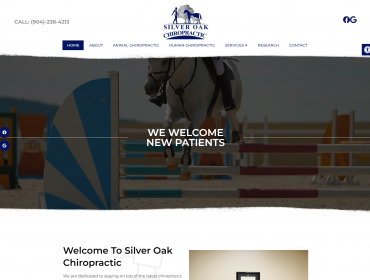 Silver Oak Chiropractic