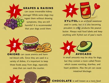Toxic Foods