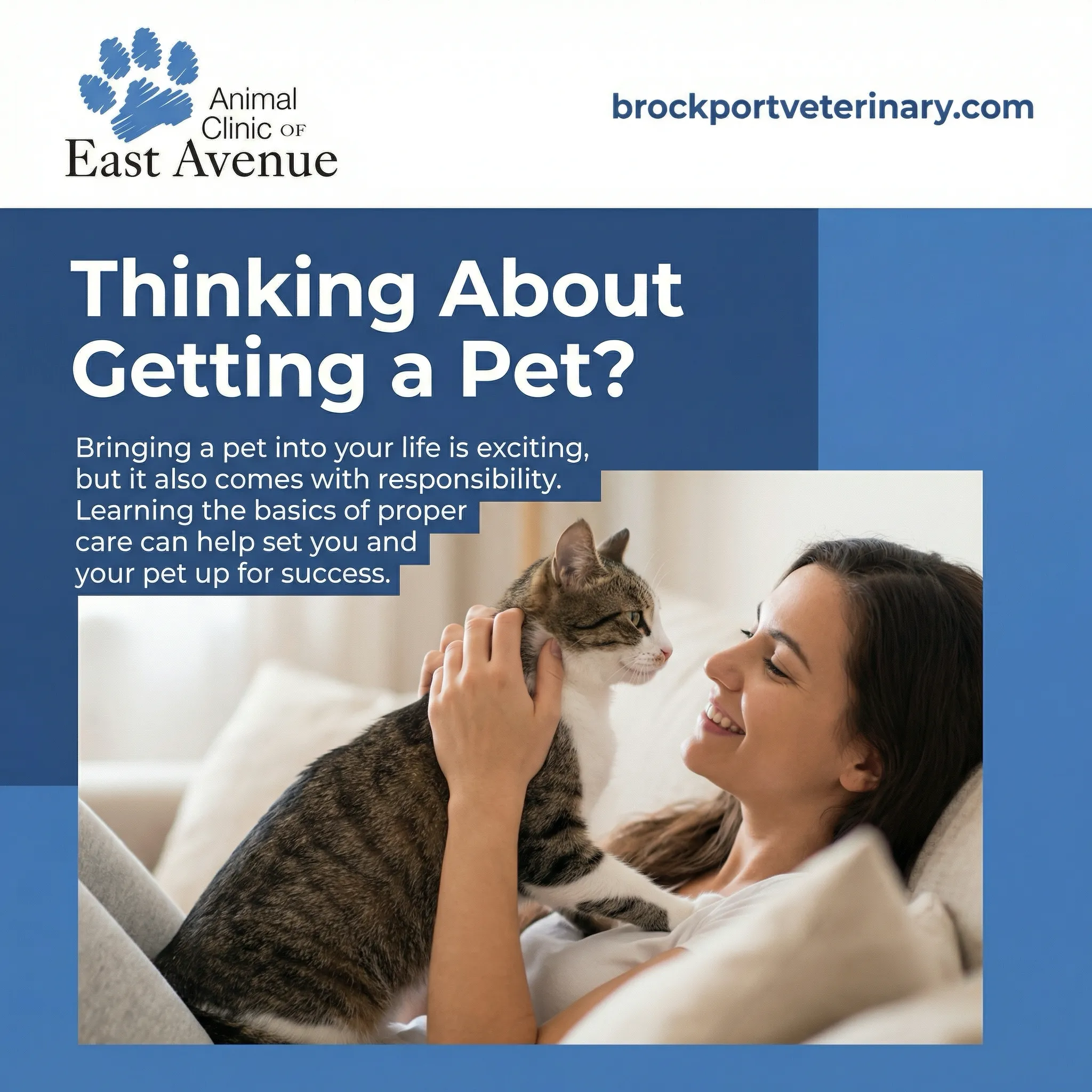 Pet care graphic
